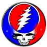 Custom skull logo Blinkee flashing pin