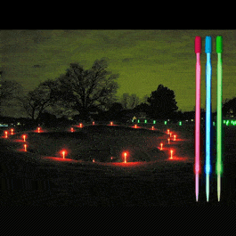 1 Dozen 12 Inch Blue LED Runway Markers All Products 3