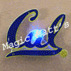 California University All Body Lights and Blinkees