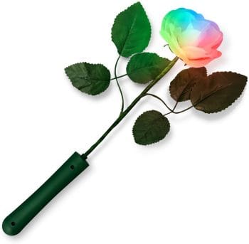 White Flower with Color Changing Petals All Products