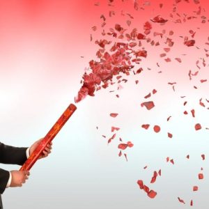 Red Rose Petals Confetti Cannon 24 Inch Red Rose Petals Confetti Cannon 24 Inch