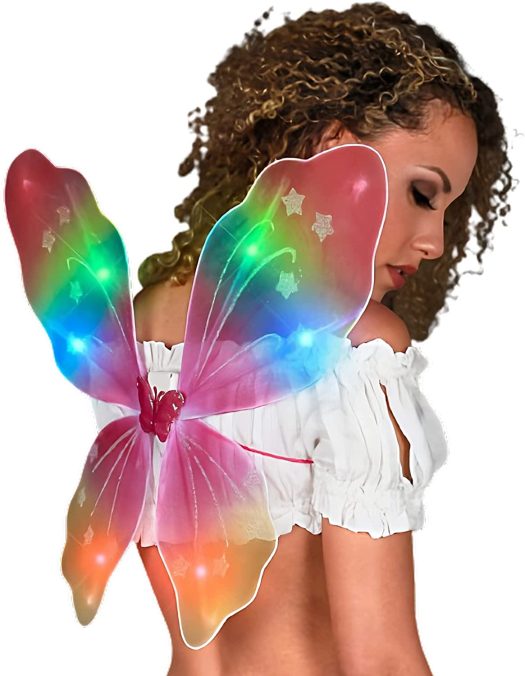 Light Up Rainbow Fairy Butterfly Wings All Products