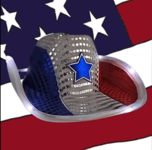 Flashing Cowboy Hat with Red White and Blue Sequins 4th of July Flashing Cowboy Hat with Red White and Blue Sequins 4th of July 4