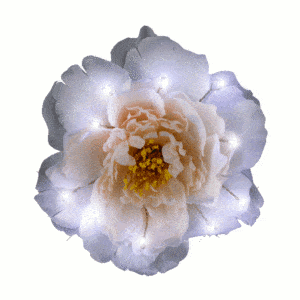 White on White on White LED Flower Hair Clip White on White on White LED Flower Hair Clip