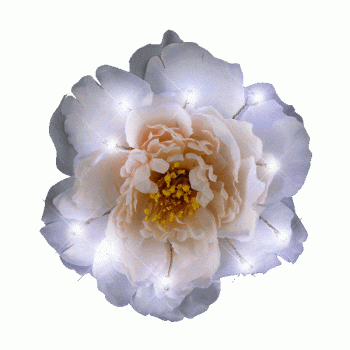 White on White on White LED Flower Hair Clip All Products
